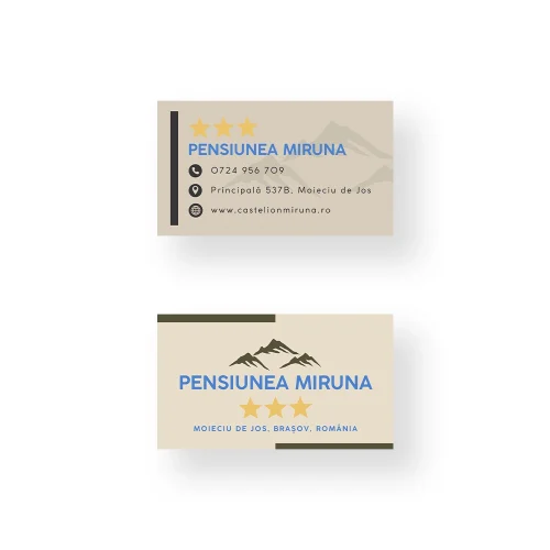 Cărți de vizită pentru Pensiune